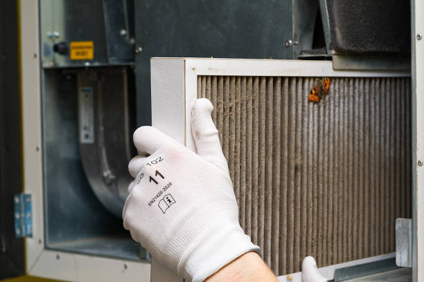 Best Air Duct Sanitizing Services  in Somerville, MA