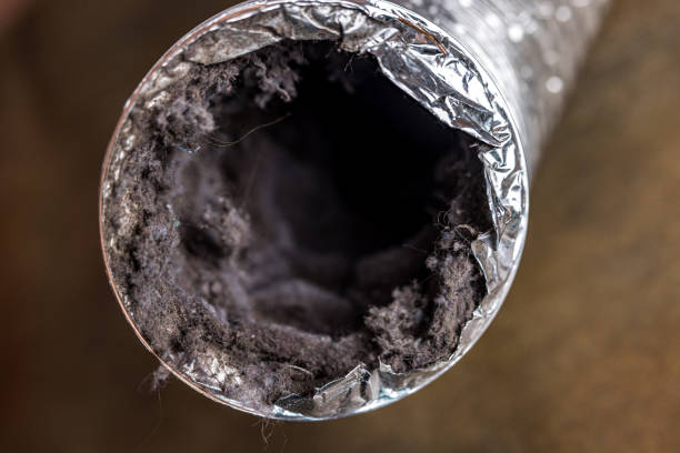 Best Local Air Duct Cleaning Services  in Somerville, MA